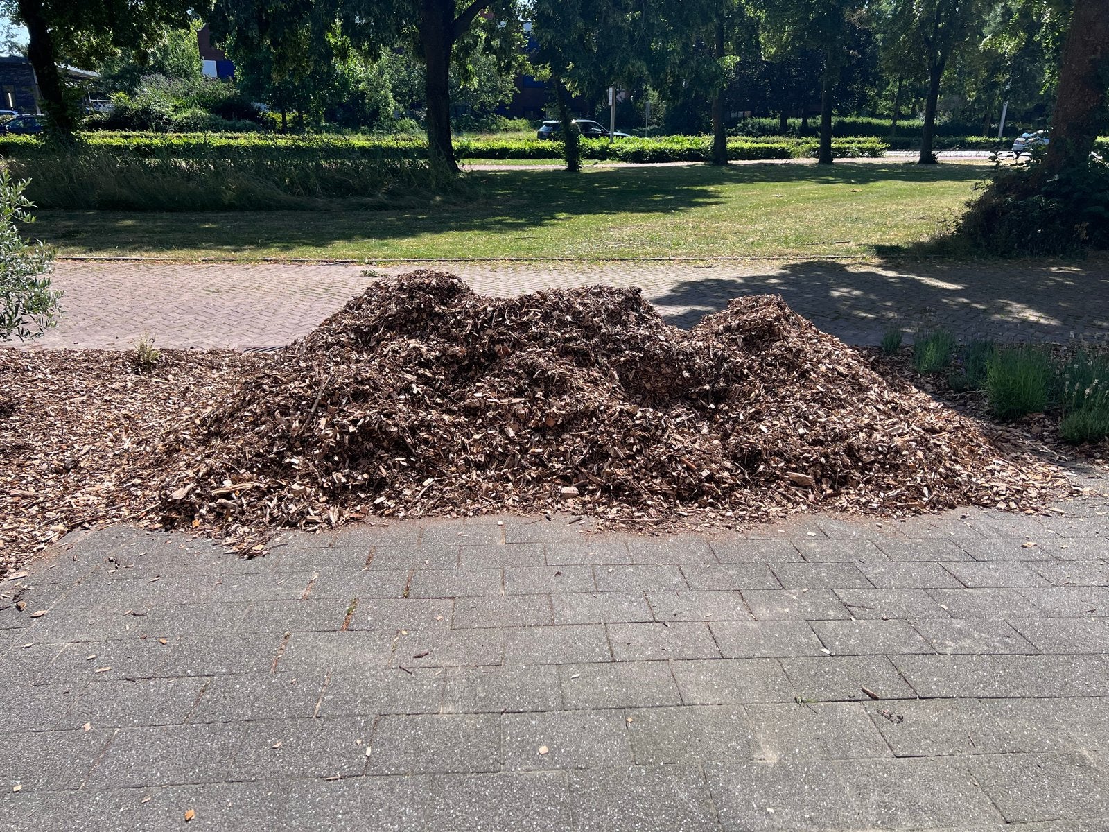 Houtsnippers voor tuin en bodembedekking, Ophalen, Nieuw