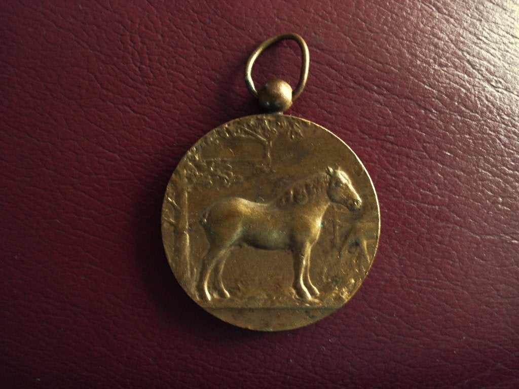 medaille trekpaard paard landbouw Berendrecht koper brons, Ophalen, Brons, Buitenland