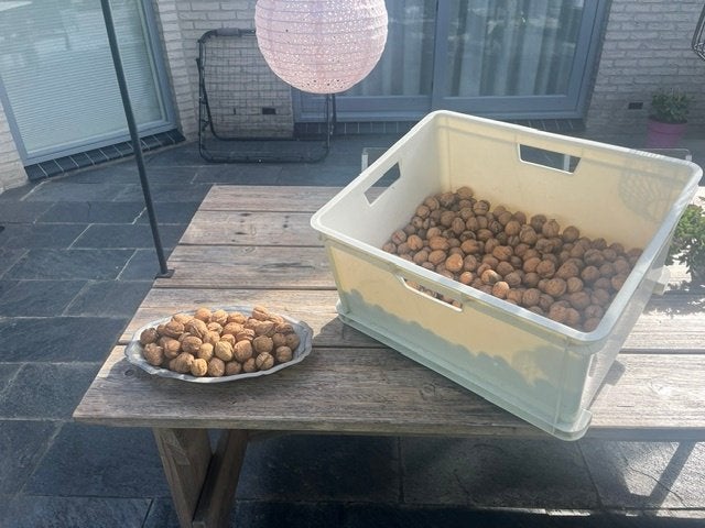 Walnoten, Diversen, Levensmiddelen, Ophalen of Verzenden
