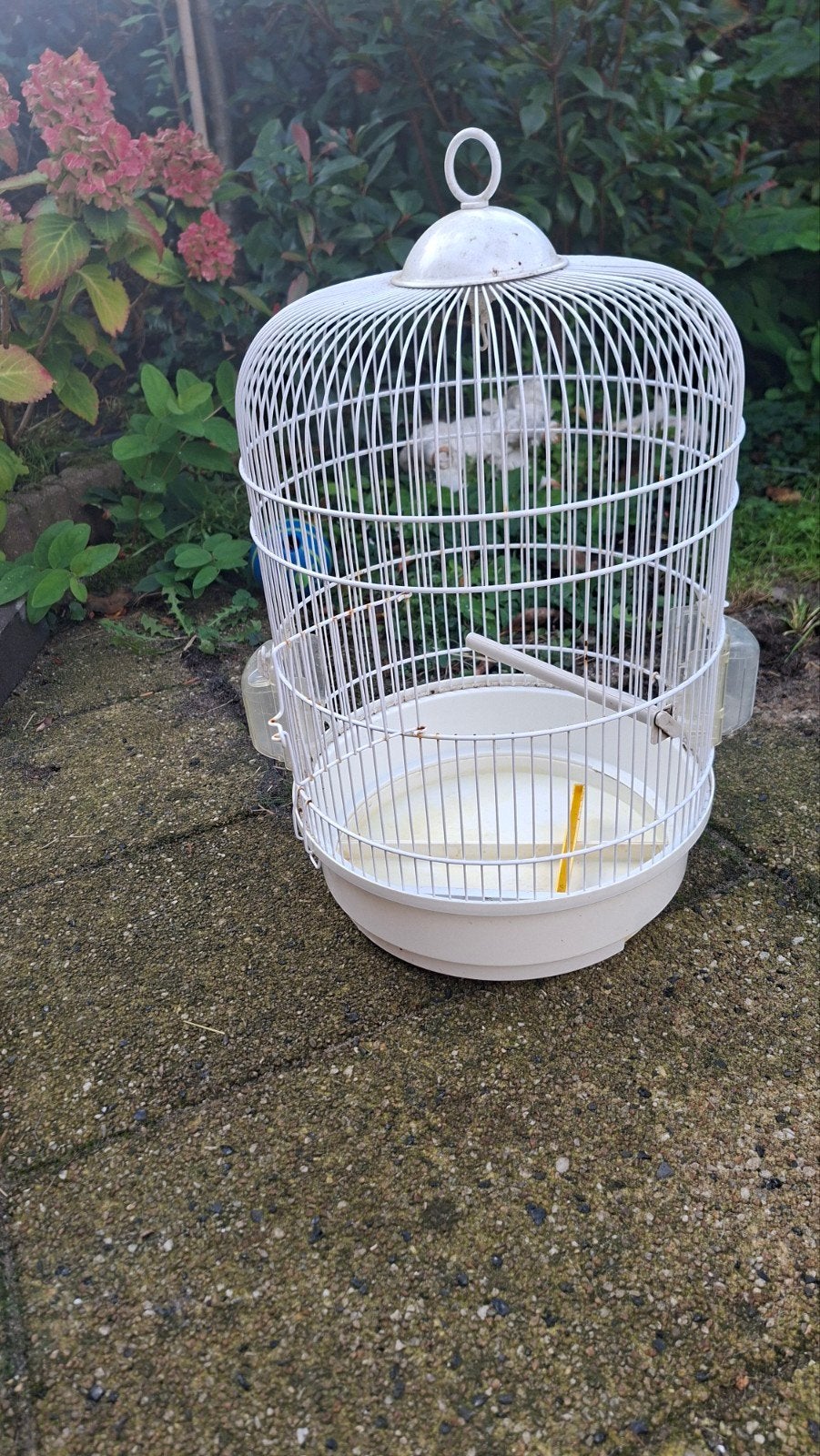 mooie nette ronde vogelkooi, Dieren en Toebehoren, Ophalen, Gebruikt, Metaal, Vogelkooi