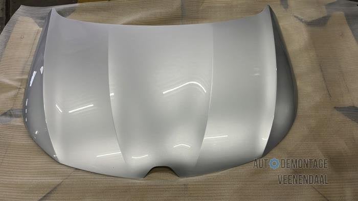 Motorkap van een Renault Megane (TED69), -, Renault, -, Nieuw