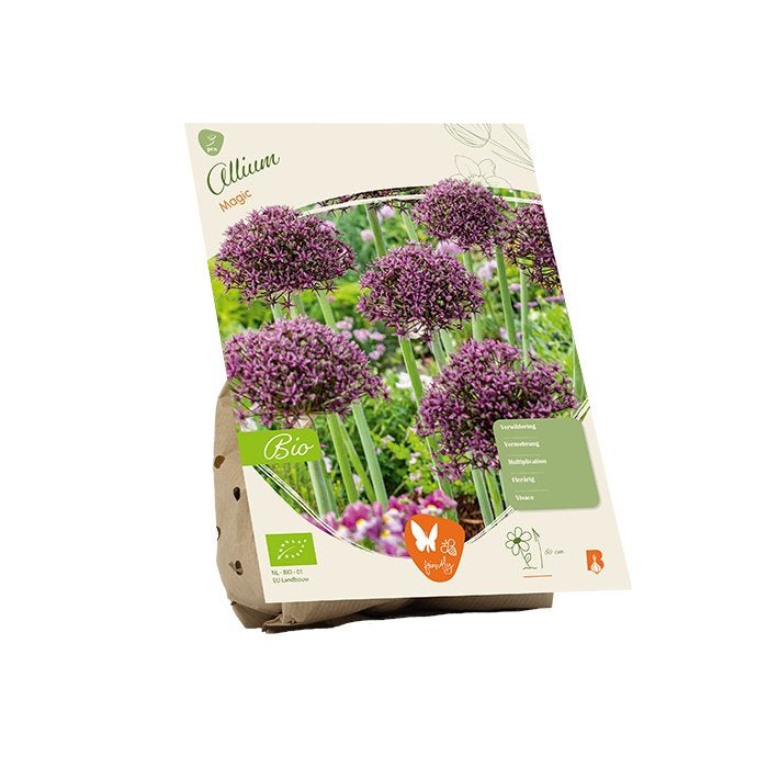 Sierui (Allium ‘magic’) BIOLOGISCH, Ophalen of Verzenden, Najaar, Volle zon, Bloembol