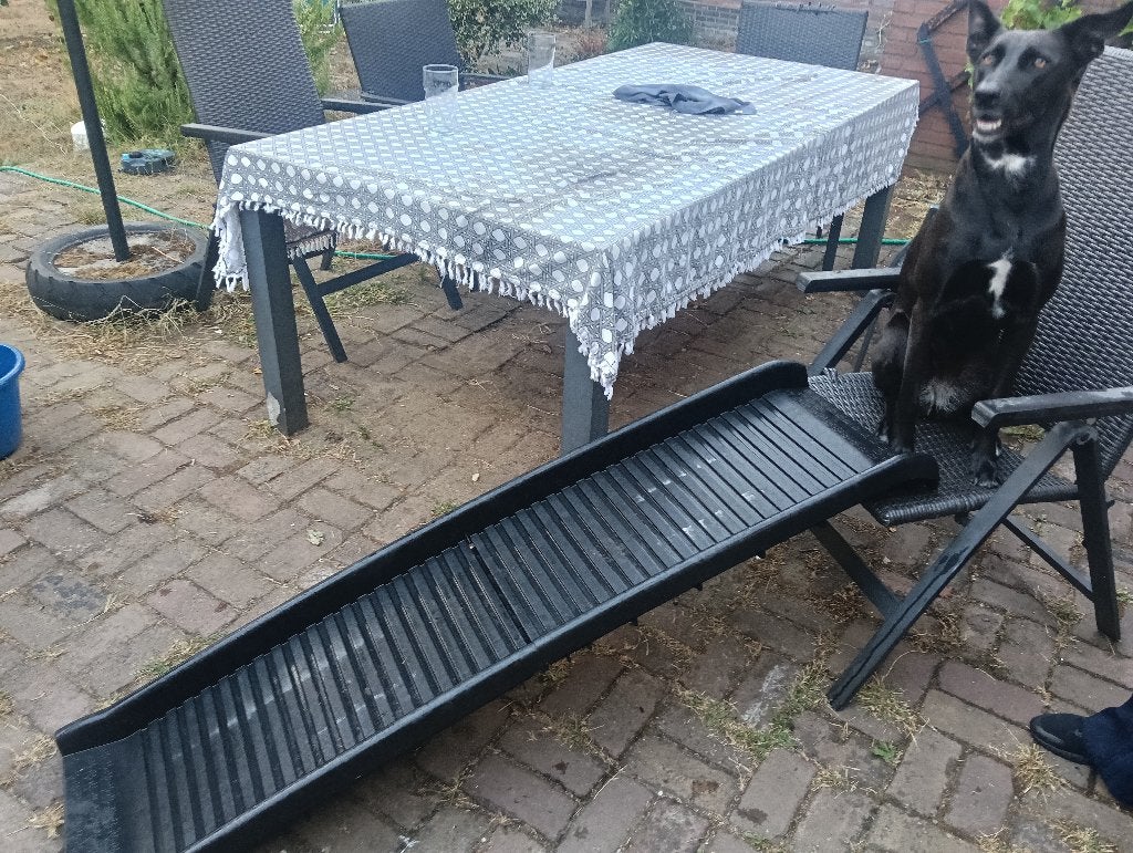 Honden loopplank, Dieren en Toebehoren, Overige merken, Ophalen, Zo goed als nieuw, Hondenloopplank