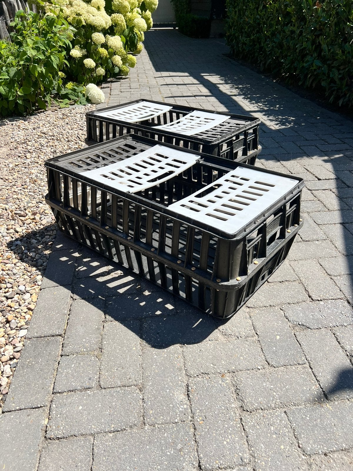 Transportkist kippen, Ophalen, Zo goed als nieuw, Kippenhok of Kippenren
