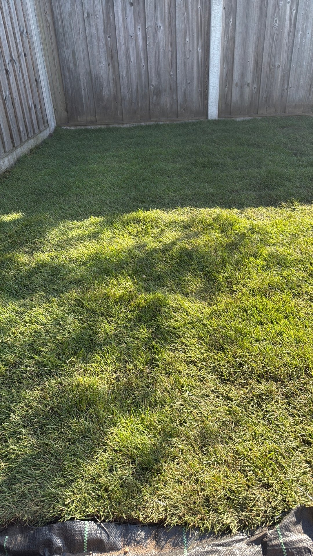 +-6m3 graszoden te koop, Ophalen, Nieuw, Minder dan 10 m²