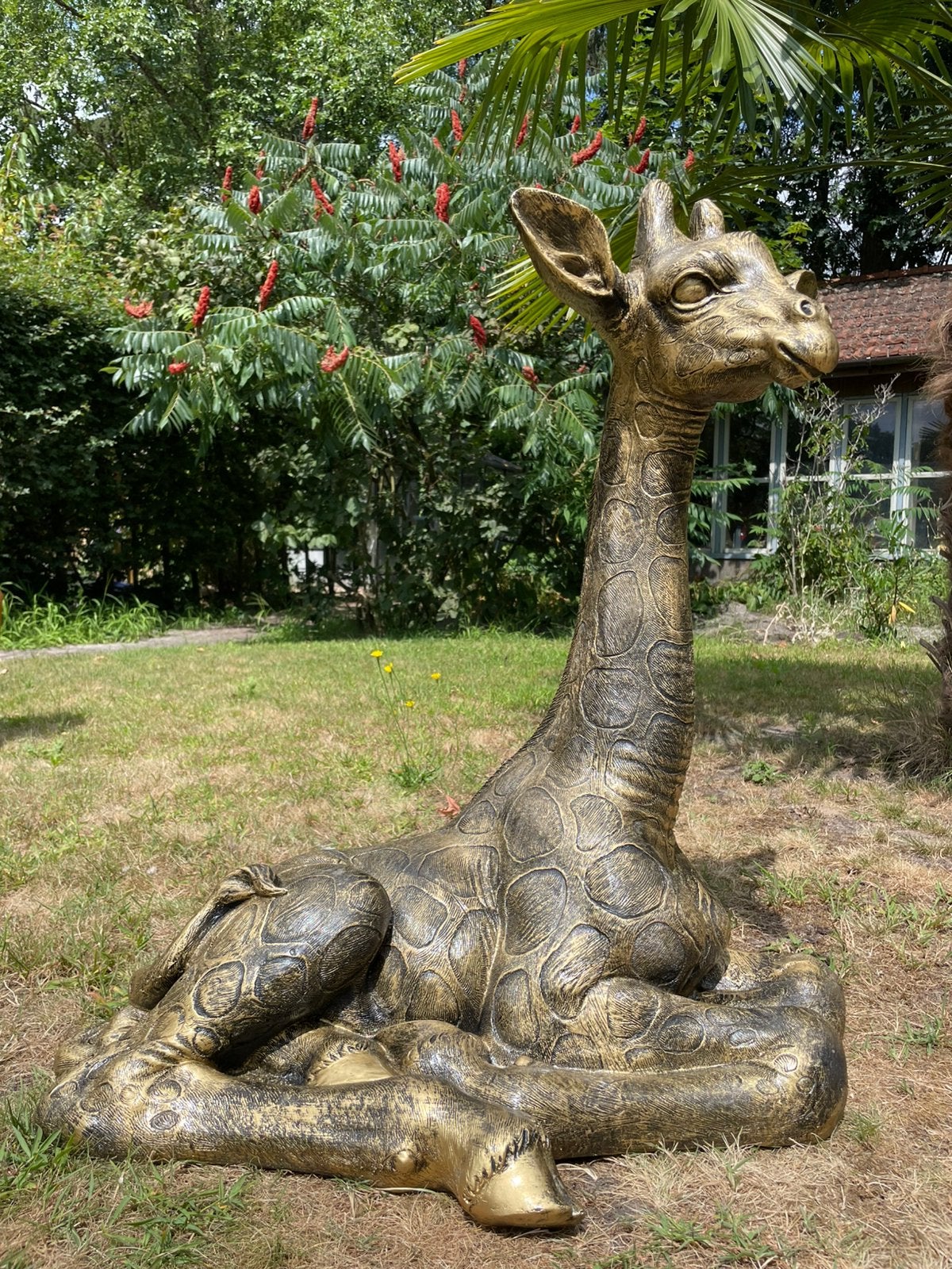 Giraf giraffe Antiekgoud beeld tuin dierentuin Afrika, Ophalen, Nieuw, Kunststof, Dierenbeeld