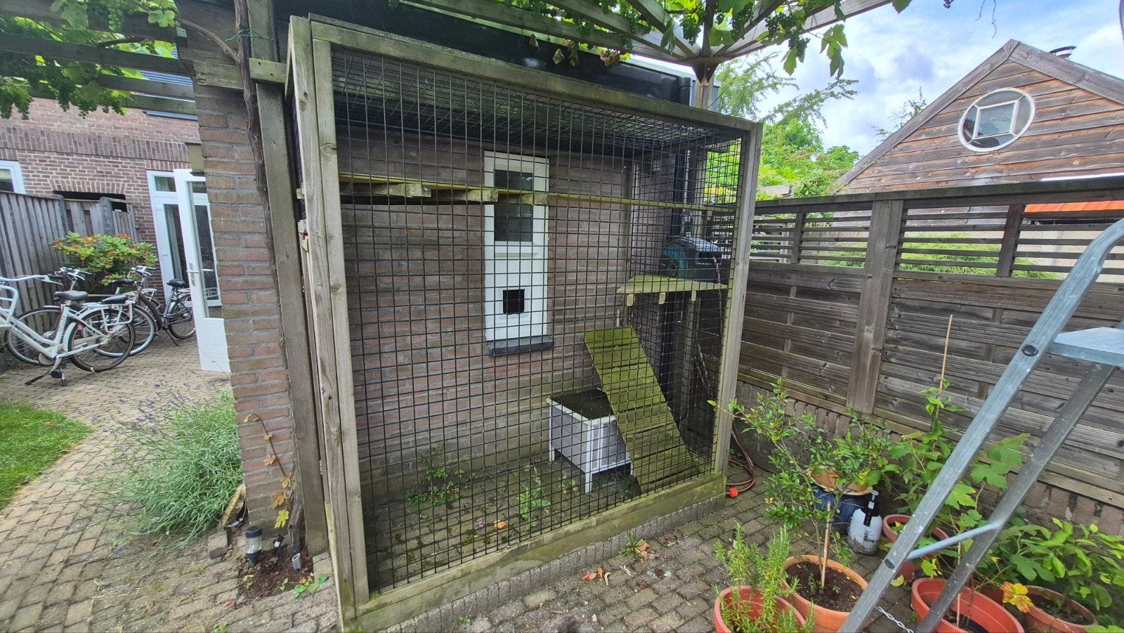 Kattenren, Dieren en Toebehoren, Ophalen