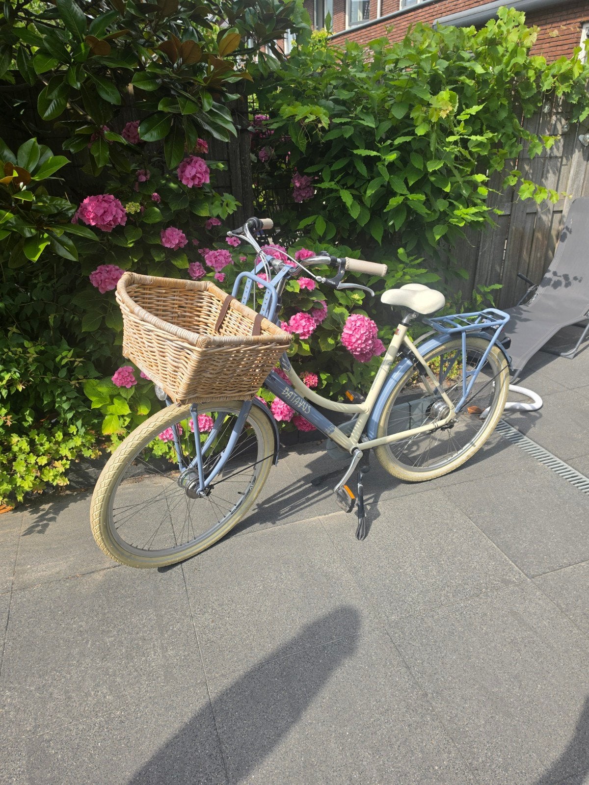 Batavus damesfiets met voordrager en mand, Ophalen, 53 tot 56 cm, Velgrem, Versnellingen
