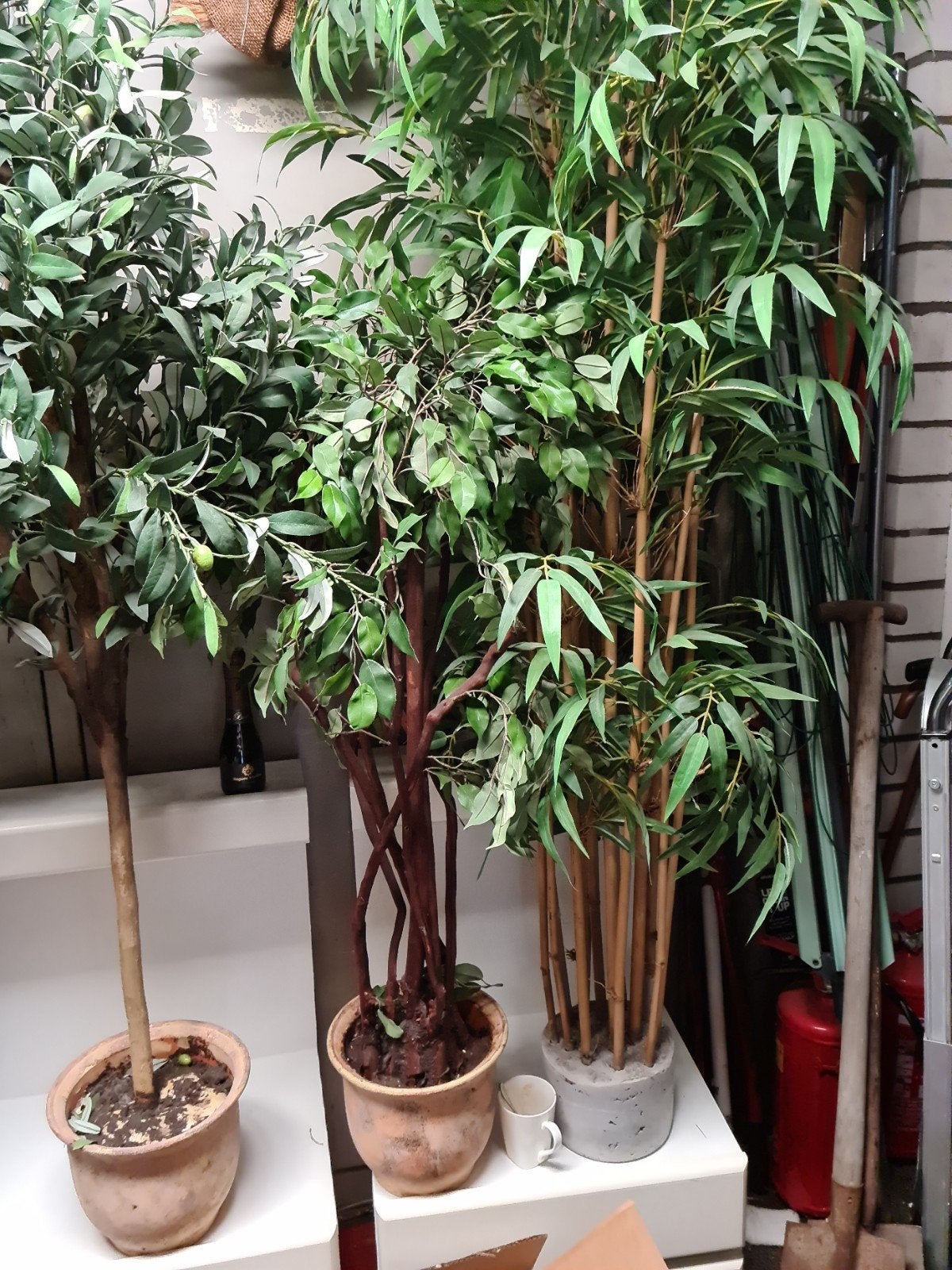 Kunststof planten: olijfboom, ficus en bamboe, Huis en Inrichting, Ophalen, Met pot of vaas, Kunstplant, Kunststof
