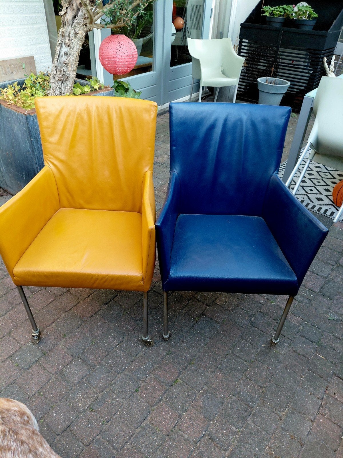 Bert Plantagie 8x leren eetkamer stoelen, Gebruikt, Overige kleuren, Ophalen of Verzenden, Modern