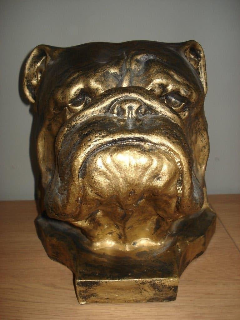 Beeld Engelse Bulldog hoofd +/- 30 x 30 x 30 cm Rookvrij, Ophalen of Verzenden, Zo goed als nieuw, Dier