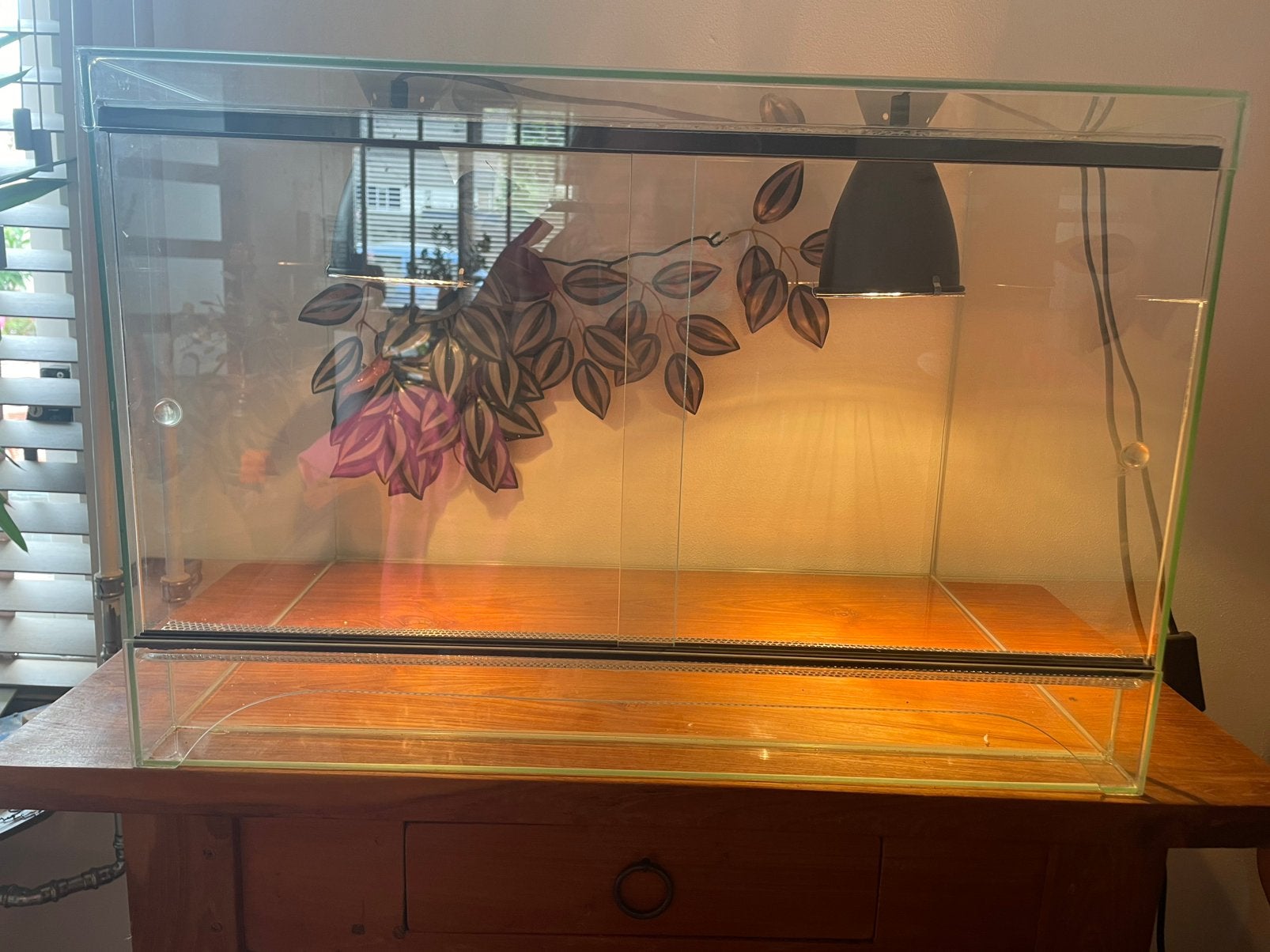 Terrarium, Dieren en Toebehoren, Reptielen en Amfibieën | Toebehoren, Ophalen, Zo goed als nieuw