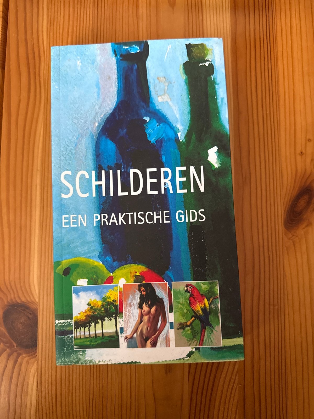 Schilderen: Een Praktische Gids voor Beginnende Schilders, Ophalen of Verzenden, Zo goed als nieuw, Overige typen