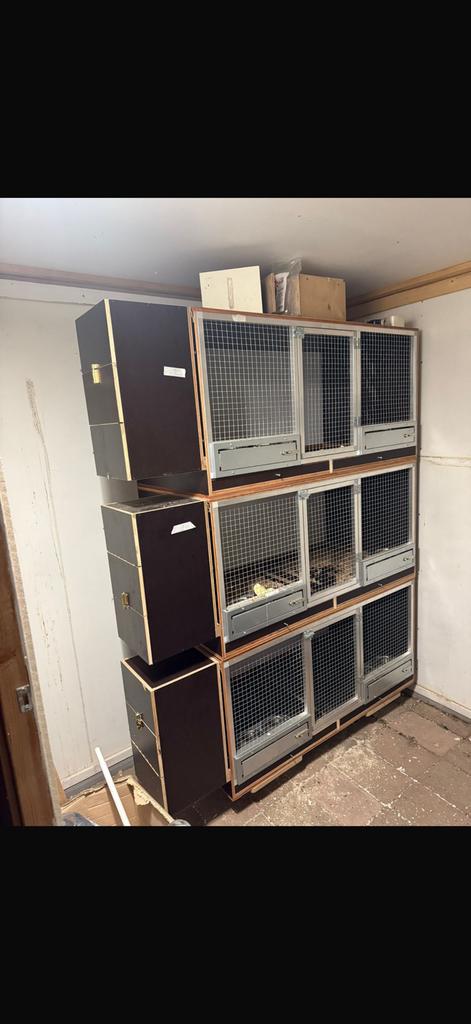 Broedkooi voor caiques nette staat 3 stuks, Dieren en Toebehoren, Ophalen of Verzenden, Zo goed als nieuw, Hout, Broedkooi of Kweekkooi