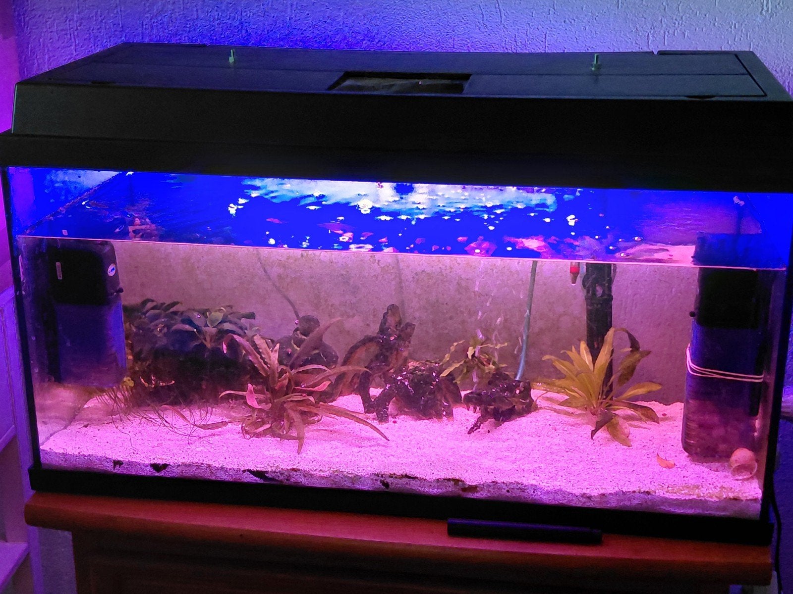 Leeg aquarium, Dieren en Toebehoren, Vissen | Aquaria en Toebehoren, Leeg aquarium, Ophalen