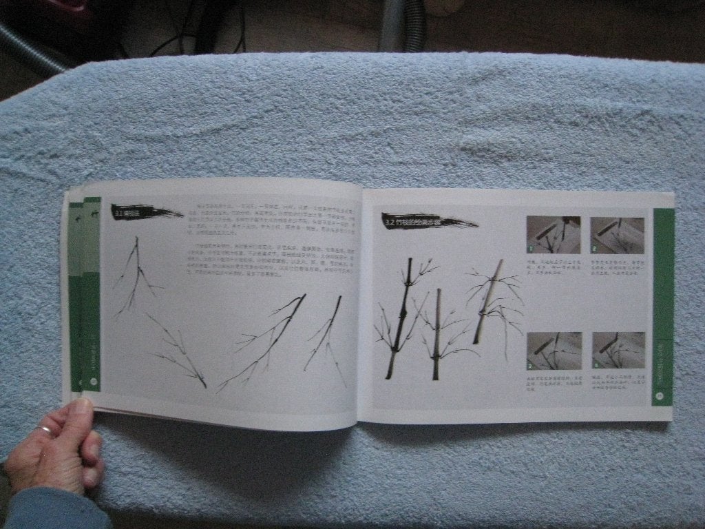 Foto 4 van Chinees aquarelboek