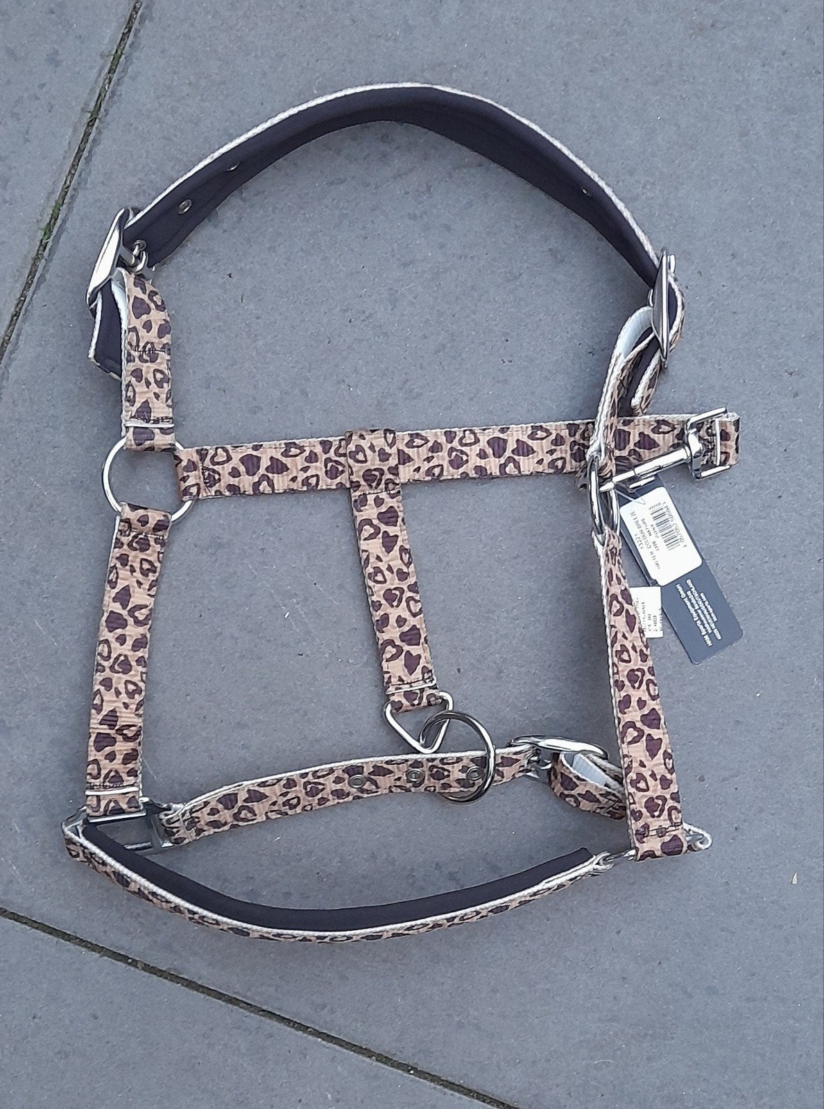 Nieuw halster Pony, Ophalen of Verzenden, Nieuw, Overige soorten