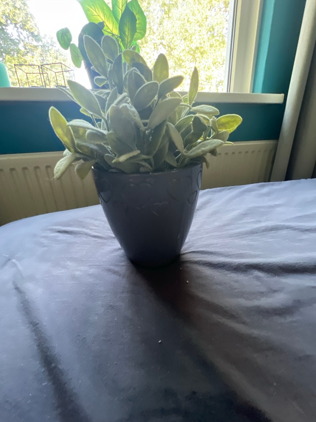 Leuke kunstplant in pot met hartjes, Binnen, Kunstplant, Ophalen of Verzenden, Kunststof