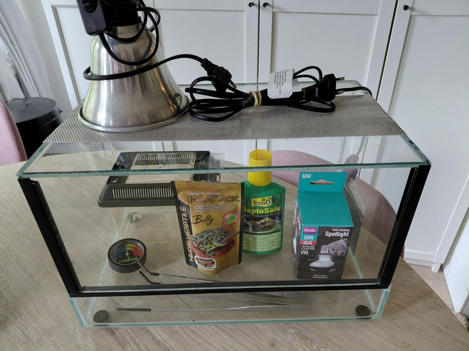 Complete set terrarium pacman frog cranwelli kikker, Dieren en Toebehoren, Ophalen, Gebruikt, Terrarium of Paludarium