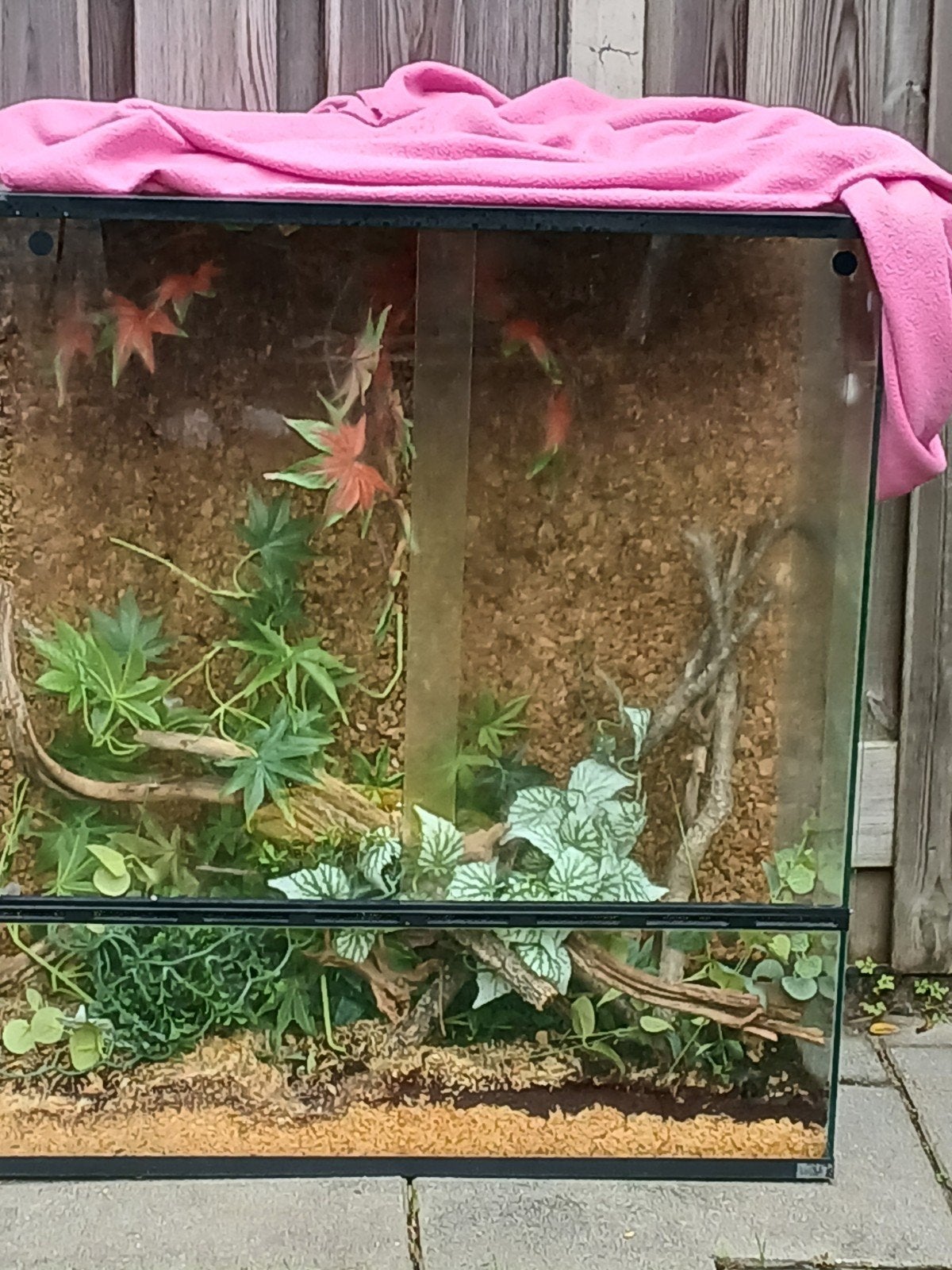 Volwassen gecko terrarium 90x45x90, Ophalen, Zo goed als nieuw
