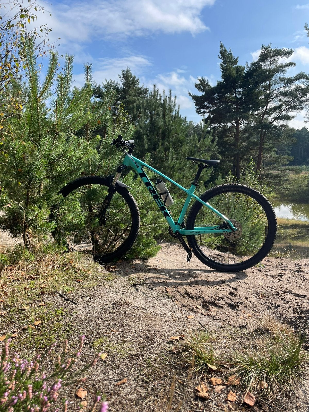 Trek Marlin 7 mountainbike 29 inch – Shimano Acera, Ophalen, Gebruikt, Dames, Schijfrem