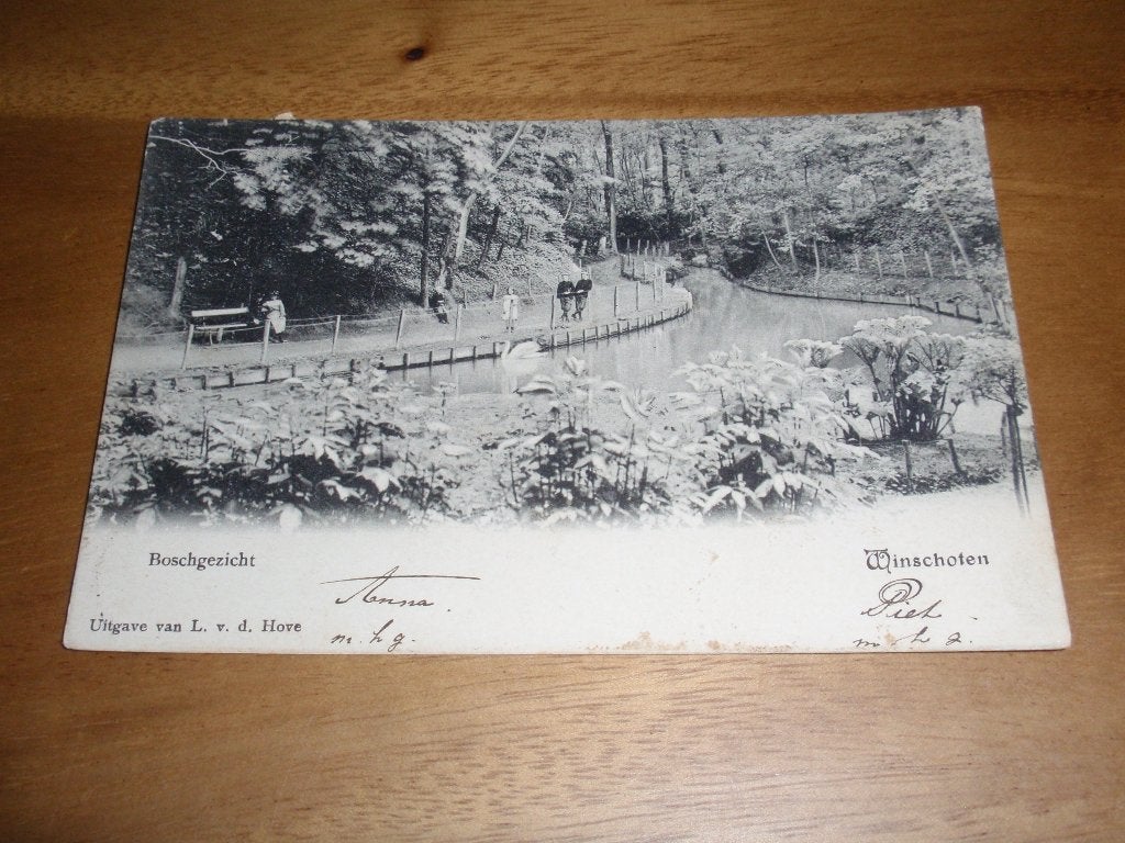 Winschoten Boschgezicht, Verzamelen, Ansichtkaarten | Nederland, Verzenden, Voor 1920, Gelopen, Groningen