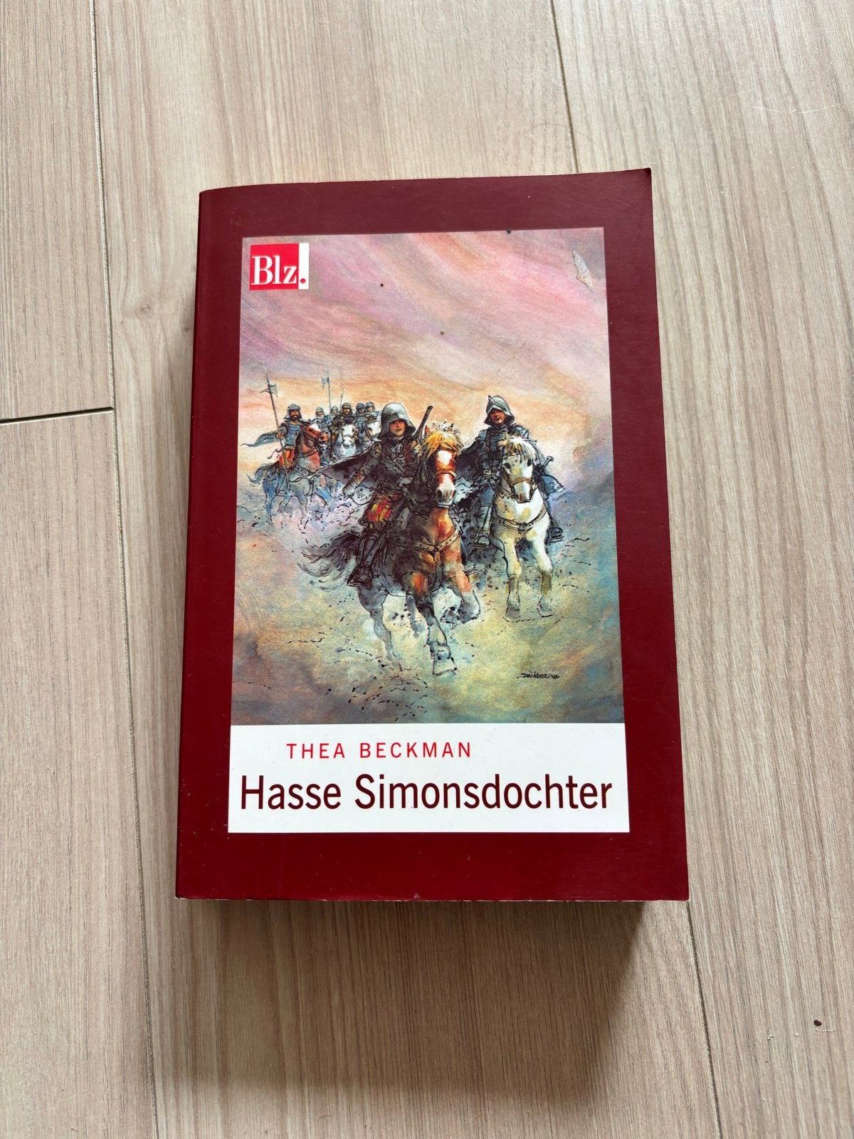 Hasse Simonsdochter - Thea Beckman (Zo goed als nieuw), Boeken, Ophalen of Verzenden, Zo goed als nieuw