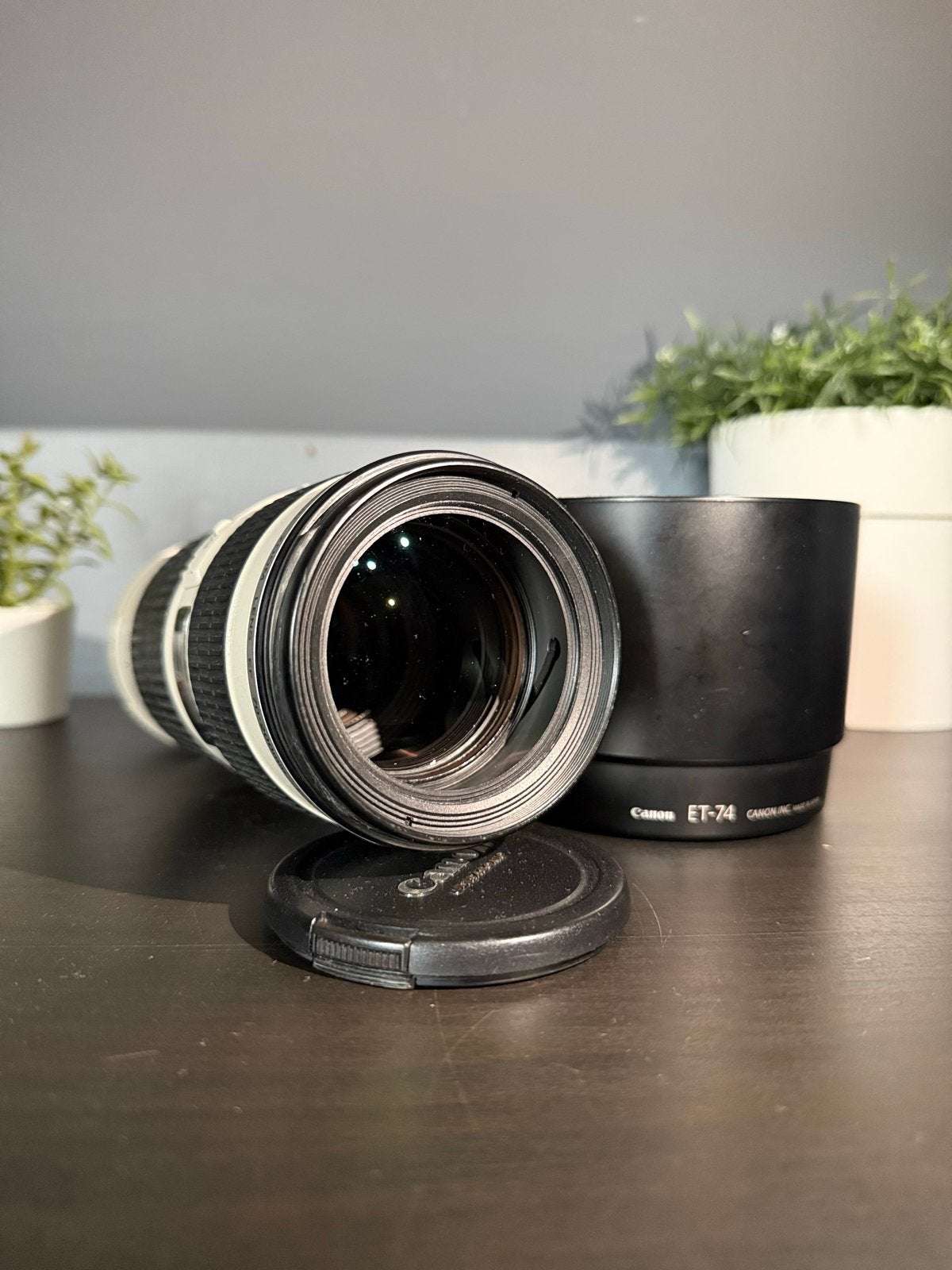 Canon EF 70-200mm f/4L USM Telelens met zonnekap, Canon, Autofocus, Zo goed als nieuw, Canon EF