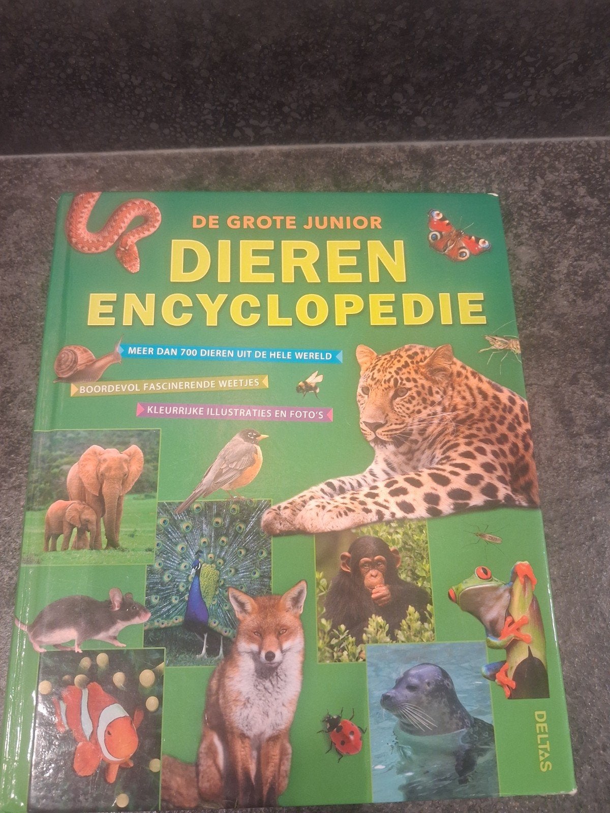 De Grote Junior Dierenencyclopedie - 288 bladzijdes, Boeken, Ophalen, Gelezen, Dieren, Los deel