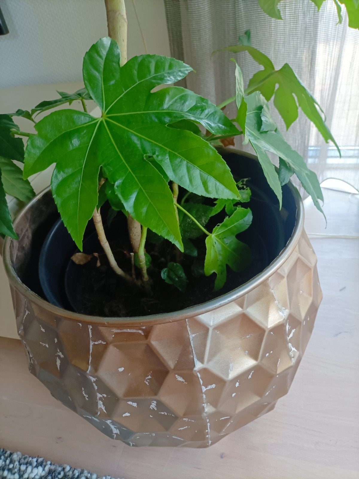 Metalen bloempot,van Dijk collectie zie oms., Tuin en Terras, Bloempotten, Rond, Minder dan 40 cm, Metaal, Ophalen