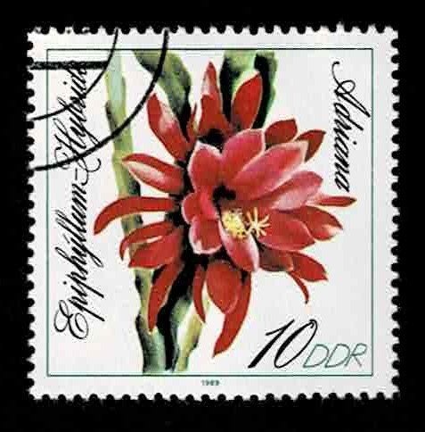 postzegel 2881 DDR bloemen  Epiphyllum-Hybride Adriana, Ophalen of Verzenden, DDR, Gestempeld