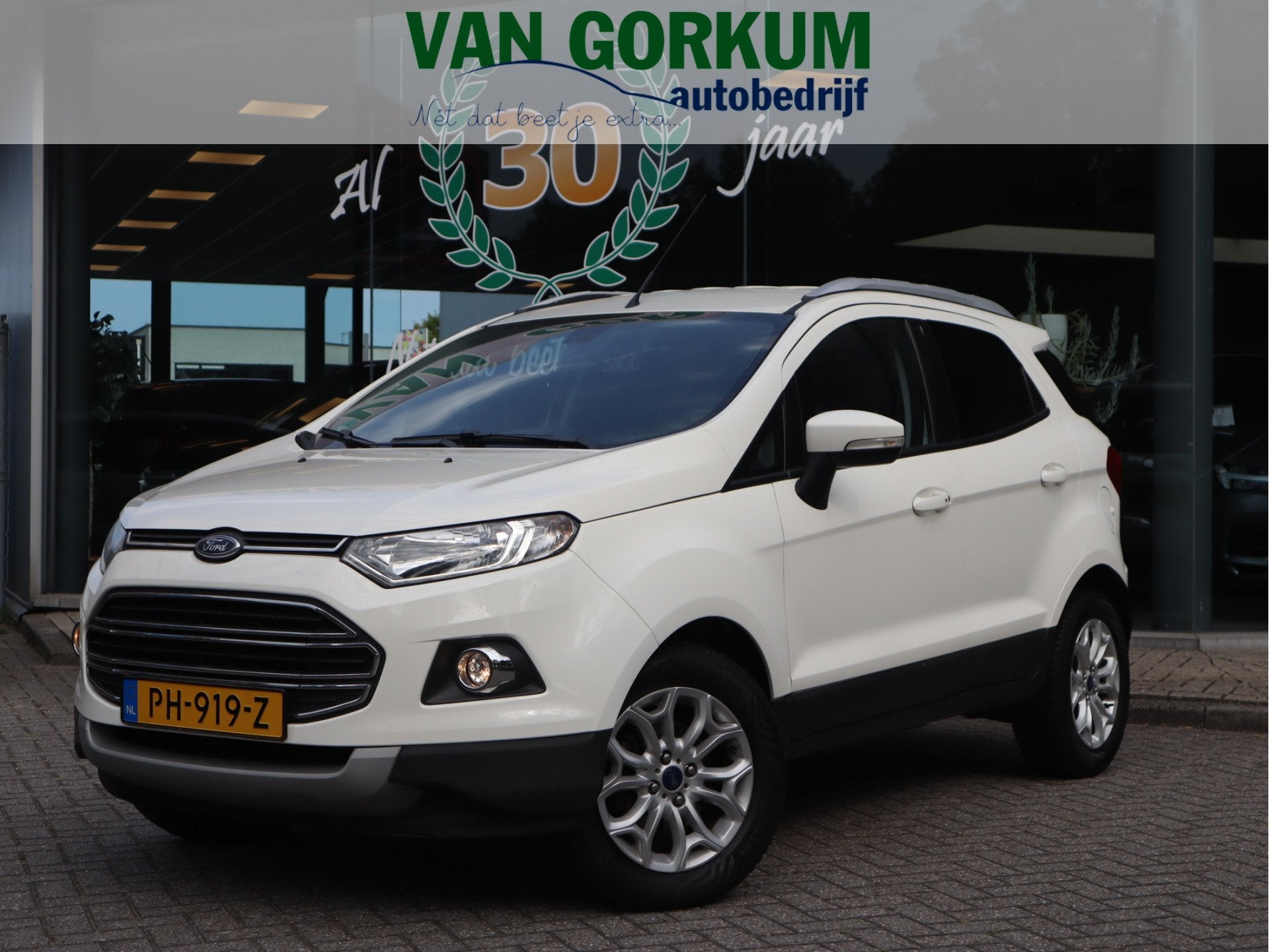 Ford EcoSport 1.0 EcoBoost Titanium Navi / Stoelverw / Keyle, Voorwielaandrijving, Stof, Gebruikt, Ecosport