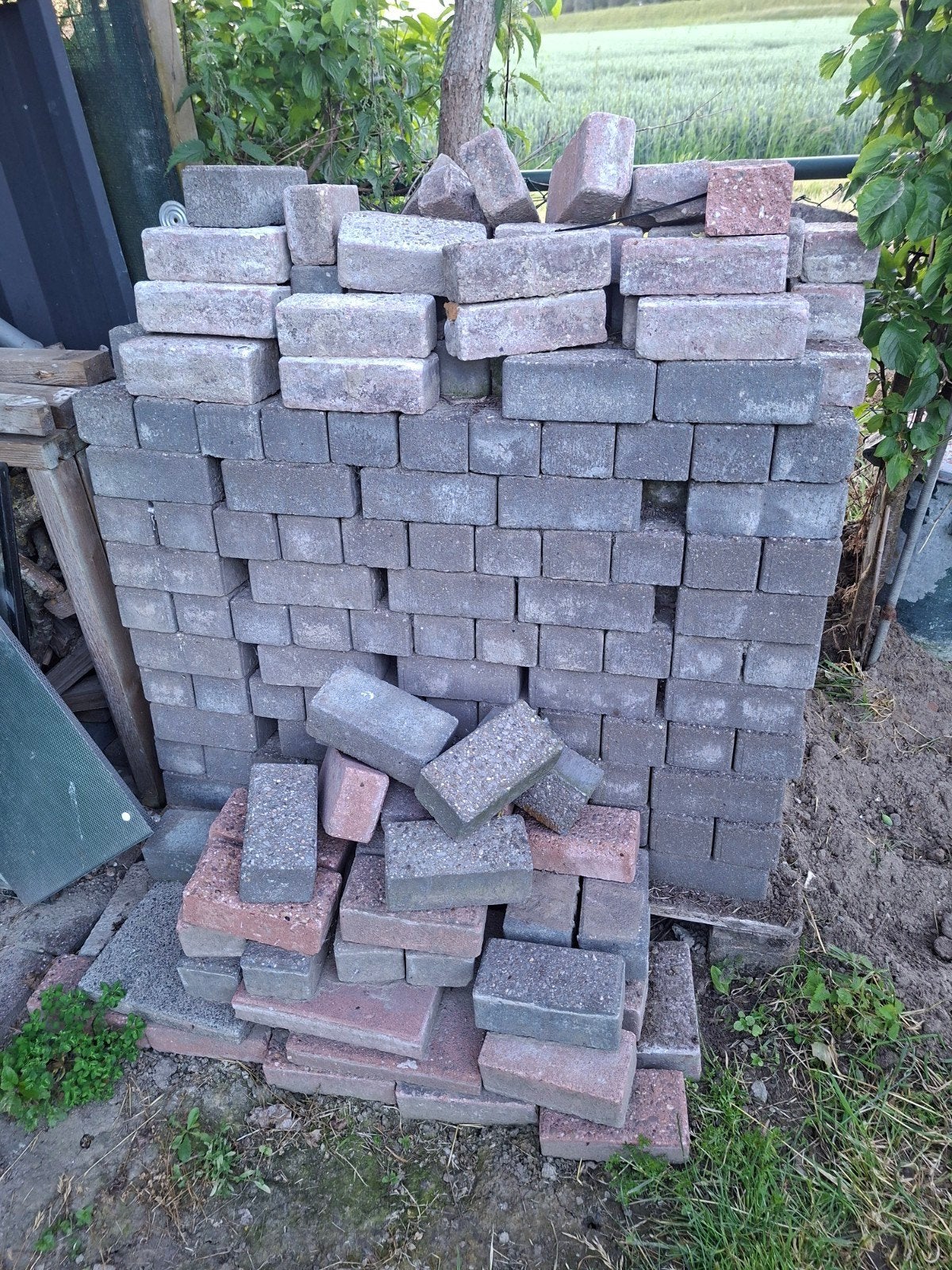Gratis klinkers, Tuin en Terras, Tegels en Klinkers, Ophalen, Gebruikt, Beton, Klinkers