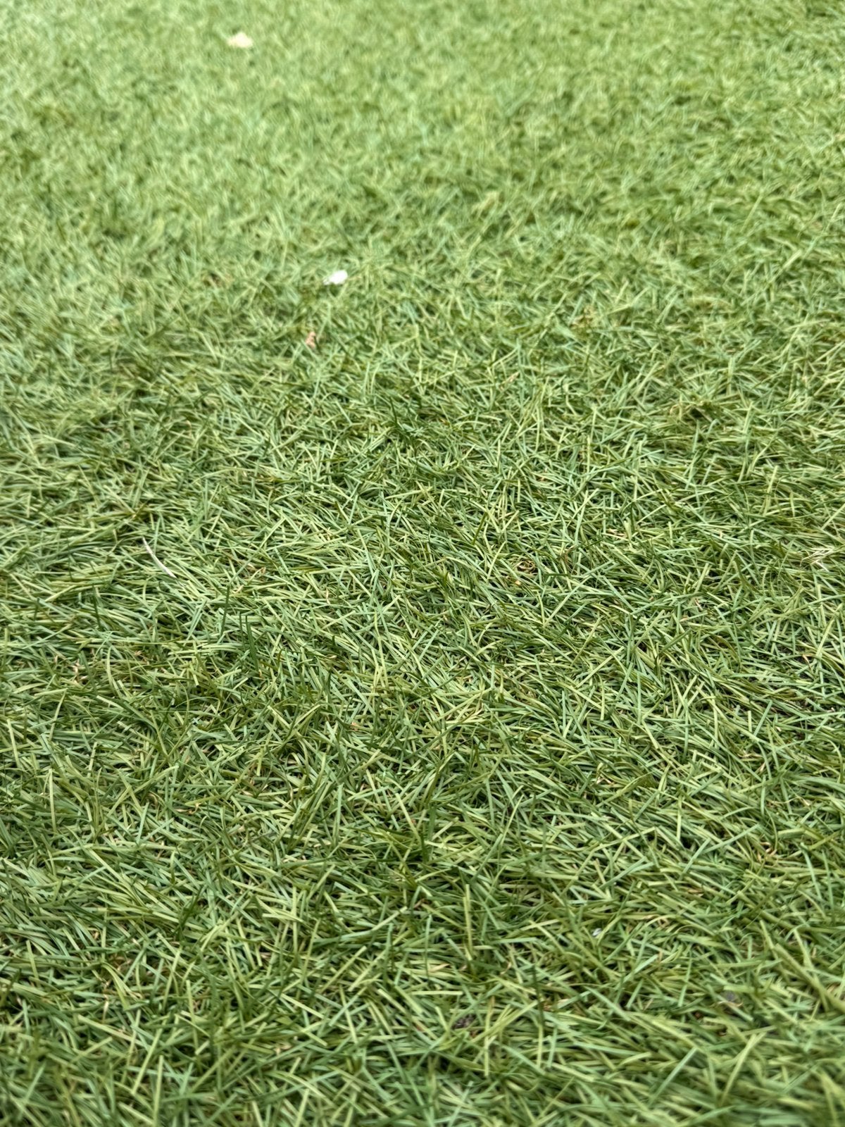 Kunstgras 3,5 x 3,5 meter | 12,25 m², Ophalen, Gebruikt, 10 tot 20 m², Kunstgras