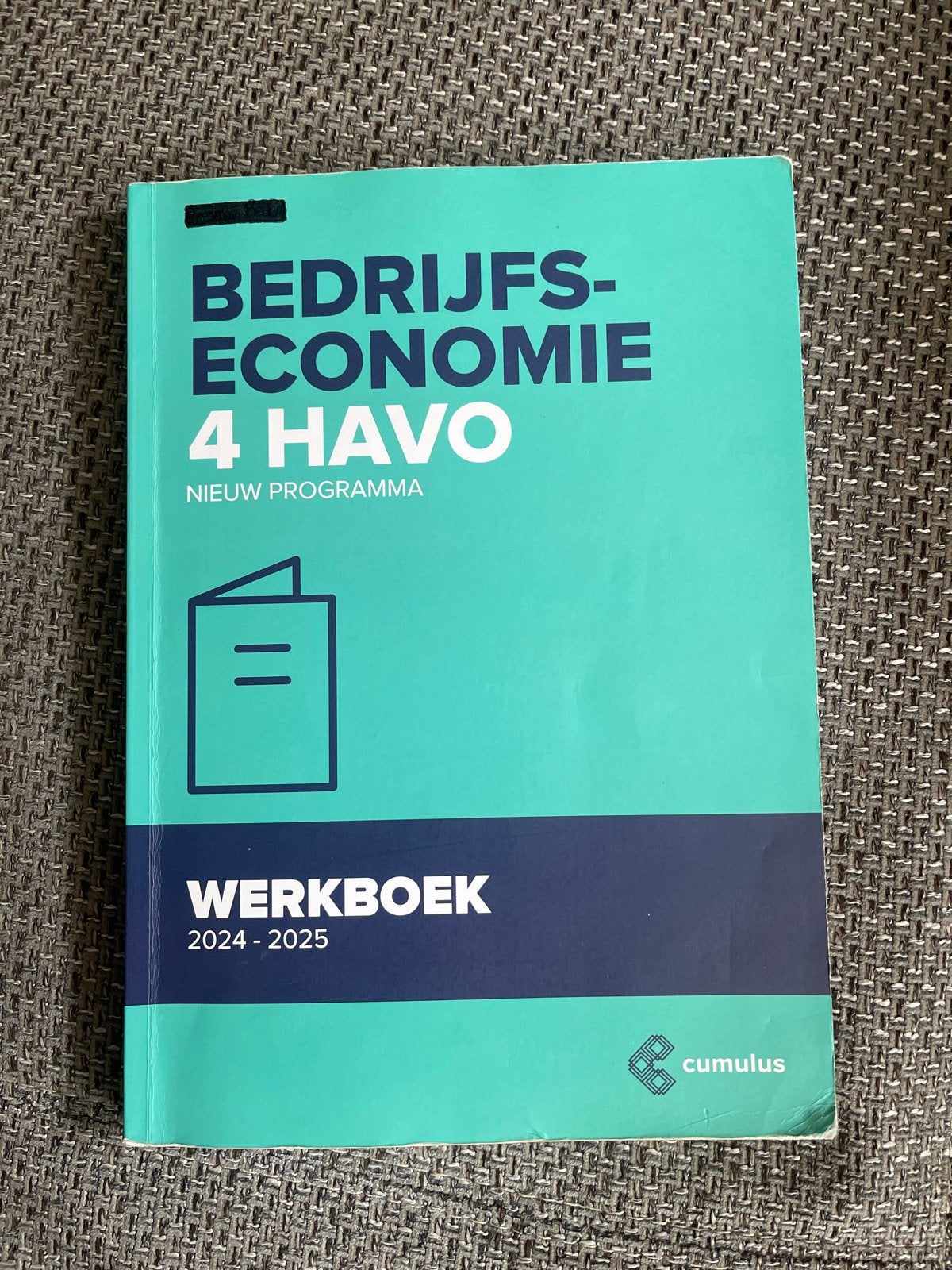 Werkboek Bedrijfseconomie 4 HAVO (2024-2025) - Beschreven, Boeken, Ophalen of Verzenden, Gelezen, HAVO, Bedrijfseconomie of M&O