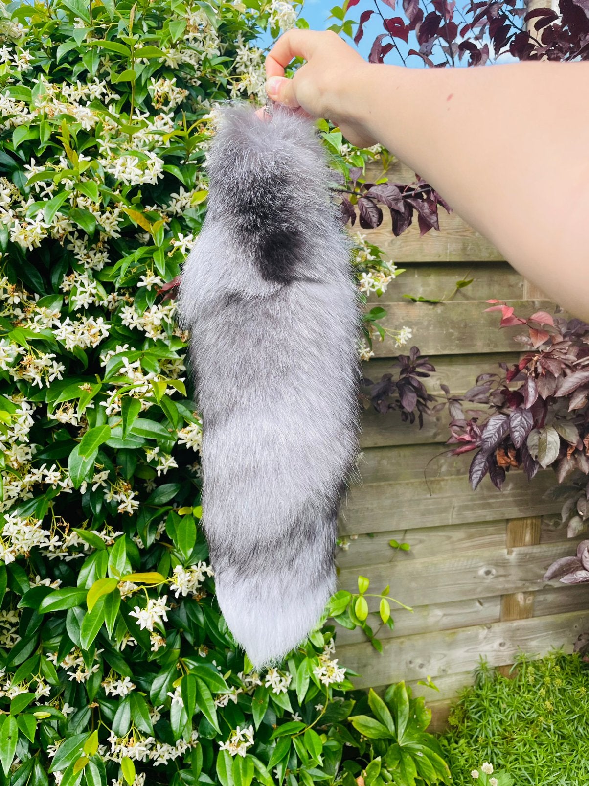 Therian tail, Ophalen of Verzenden, Zo goed als nieuw, Accessoires