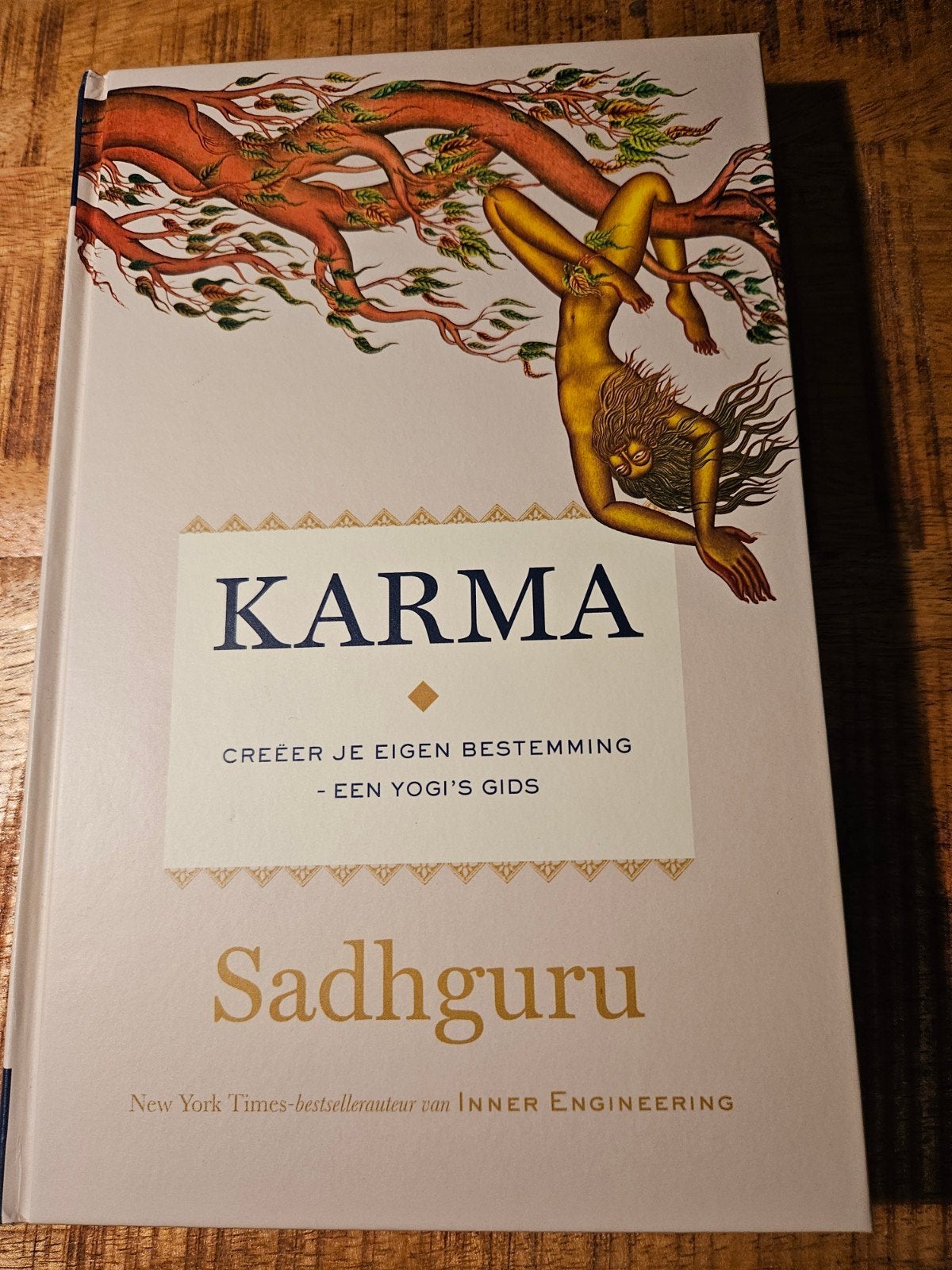 Karma: Creëer je eigen bestemming - Een Yogi's Gids, Boeken, Ophalen of Verzenden, Nieuw, Spiritualiteit algemeen, Overige typen