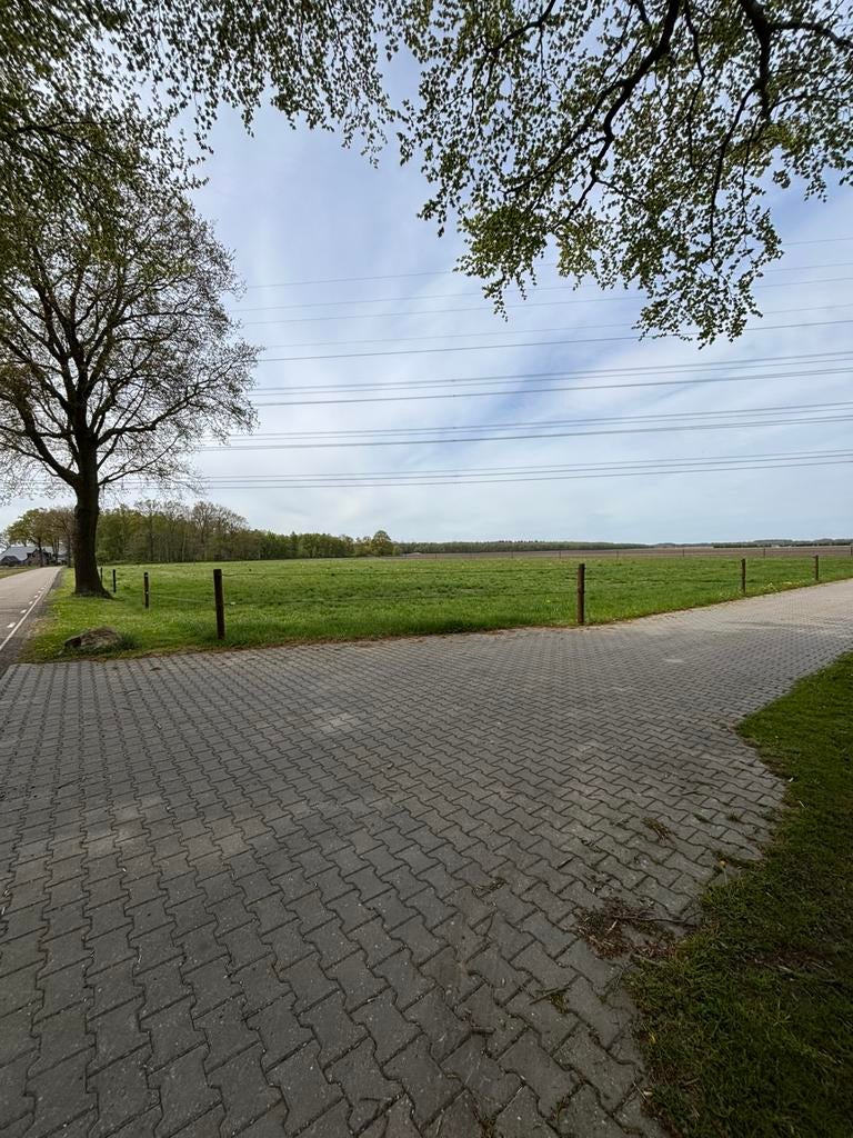 Stalling en weidegang aangeboden, Dieren en Toebehoren, Stalling en Weidegang, Weidegang, 1 paard of pony