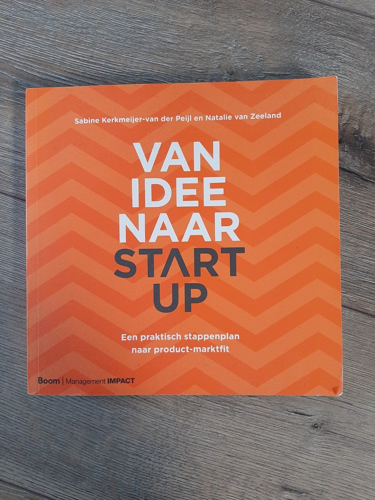 Van idee naar startup, Ophalen of Verzenden, Beta, Zo goed als nieuw, HBO