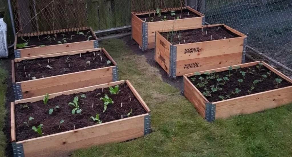 moestuinbakken palletranden opzetranden, Tuin en Terras, Bloembakken en Plantenbakken, Zo goed als nieuw, Hout, Binnen, Balkon