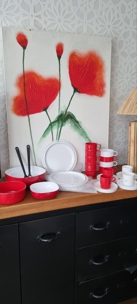 VEEL NIEUW en NWST. Mepal Rosti Rood Wit Wave luna borden, Ophalen of Verzenden, Nieuw