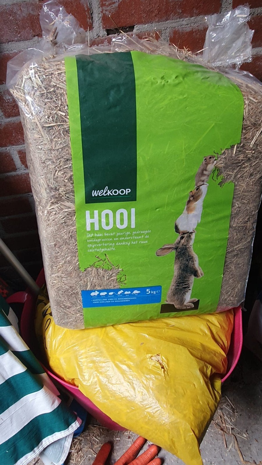 Knaagdier hooi Welkoop, Dieren en Toebehoren, Knaagdieren en Konijnen | Toebehoren, Ophalen of Verzenden, Zo goed als nieuw, Verzorging