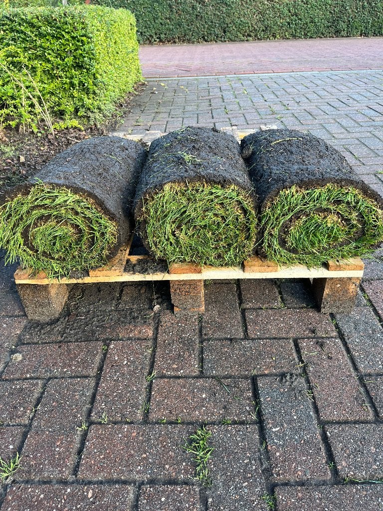 Graszoden 3 m2, Ophalen, Nieuw, Minder dan 10 m², Gras