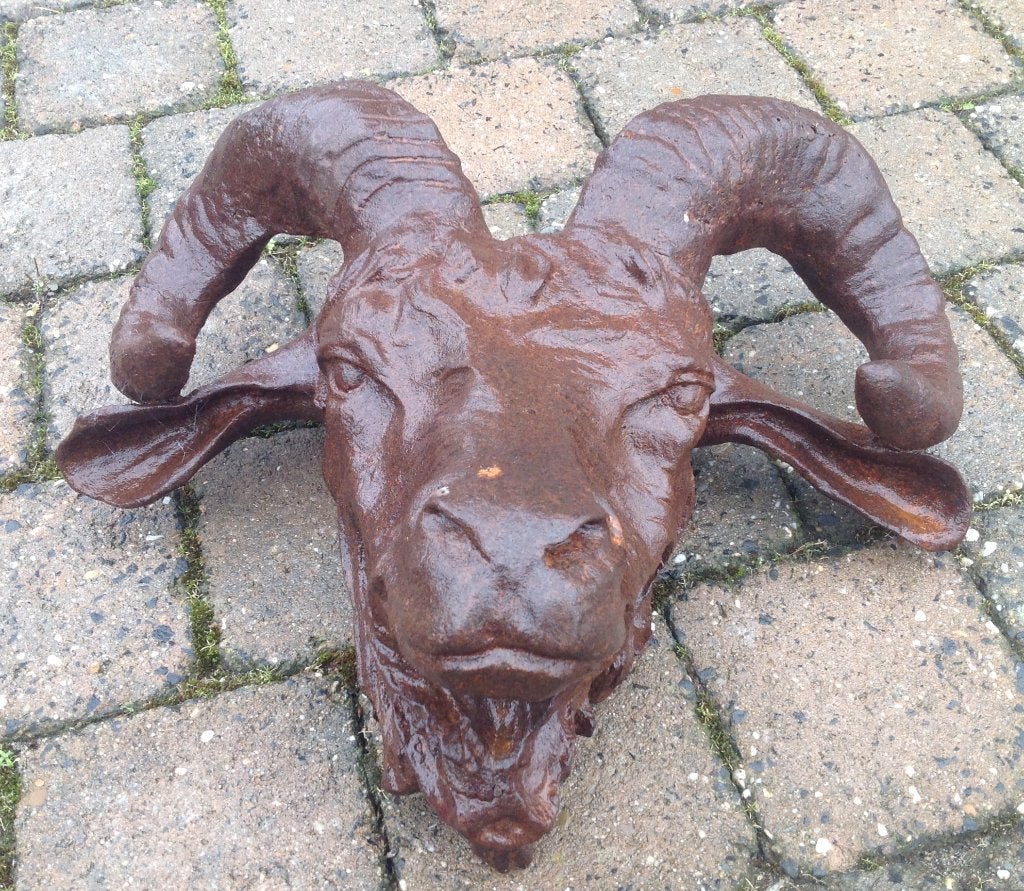 Hele mooie grote kop van gietijzer ram voor tegen de wand., Ophalen of Verzenden, Nieuw