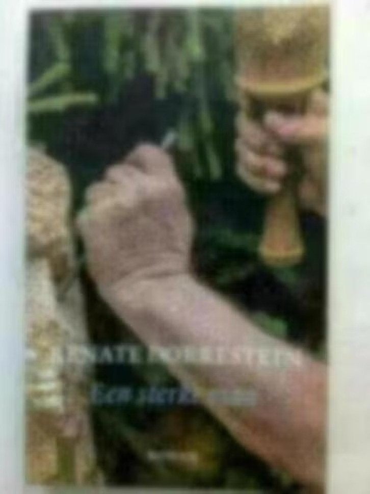 Renate Dorrestein - een sterke man, Ophalen of Verzenden, Zo goed als nieuw, Renate Dorrestein, Nederland