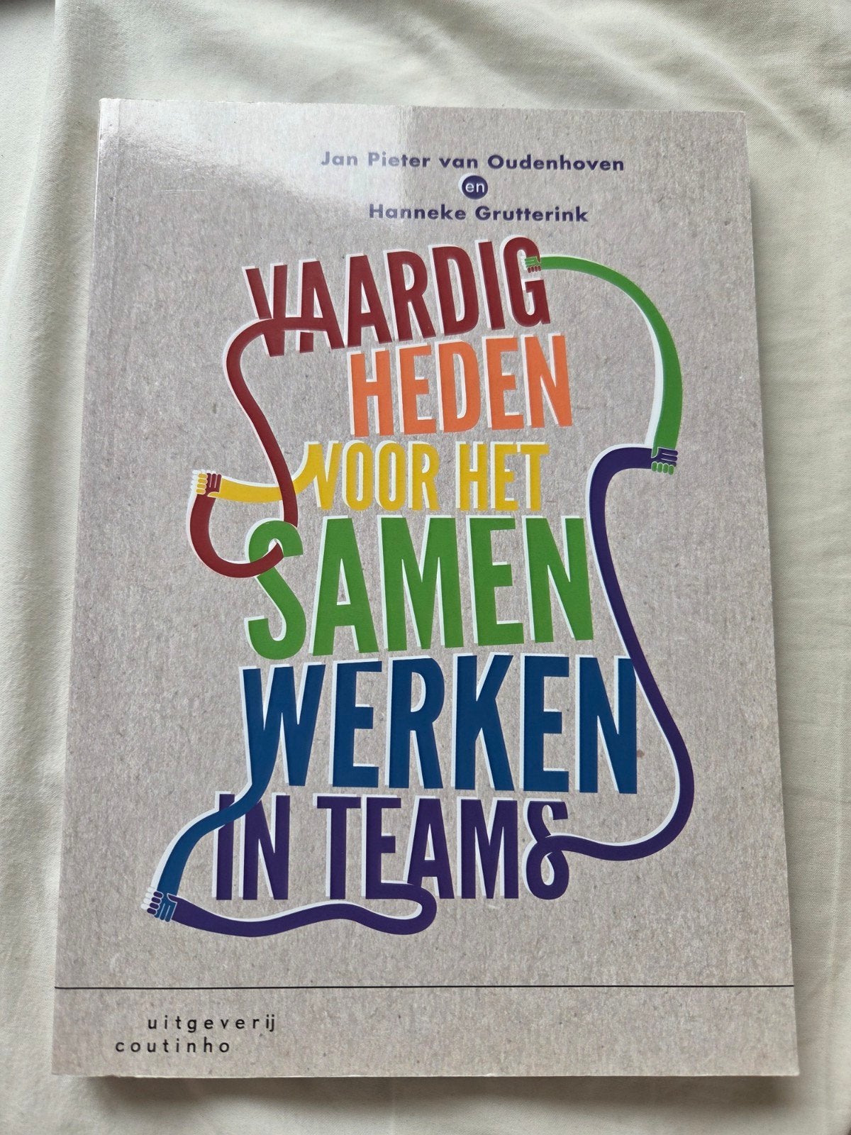 Vaardigheden voor het samenwerken in teams, Jan Pieter van Oudenhoven; Hanneke Grutterink, Sociale wetenschap, Ophalen of Verzenden
