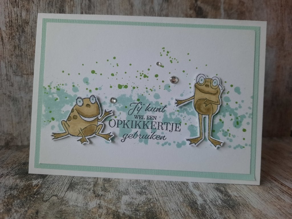 Kaart Stampin' Up! Opkikkertje met kikkertjes (beterschap), Ophalen of Verzenden, Nieuw, Overige thema's