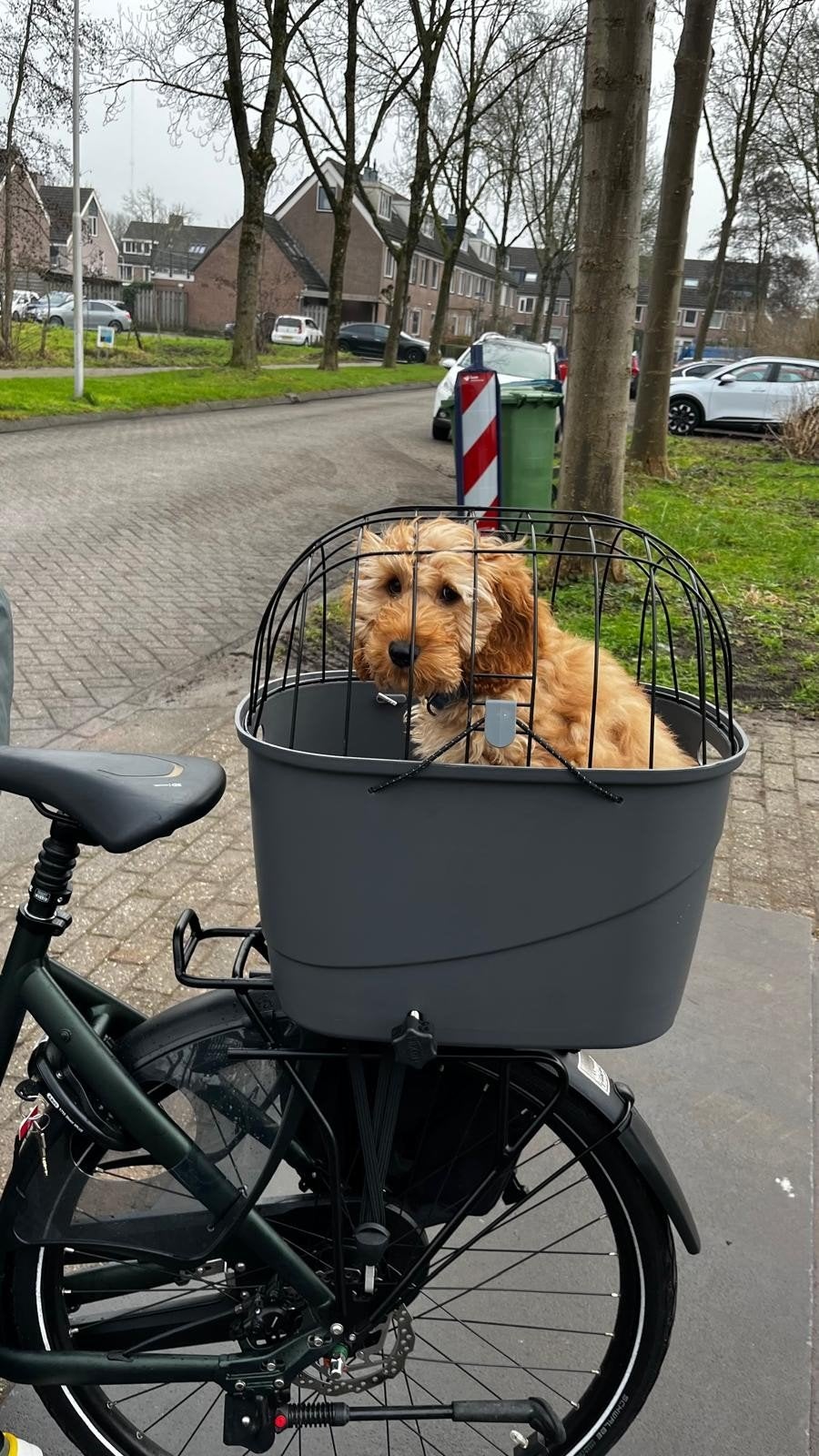 Trixie Friends on Tour Fietsmand voor Bagagedrager, Ophalen, Trixie, Gebruikt, Minder dan 20 kg