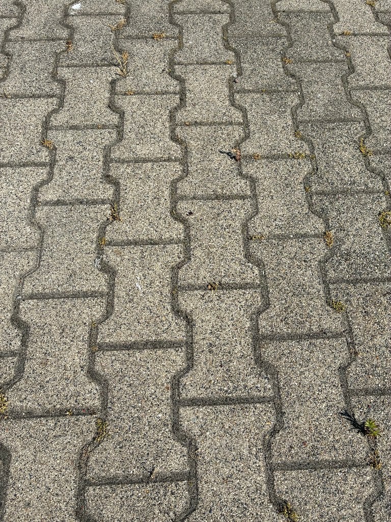 Gebruikte Profielstenen/H-Klinkers, Ca. 10cm dik, Ca. 6000m², Tuin en Terras, Gebruikt, Klinkers, Ophalen of Verzenden, 10 m² of meer