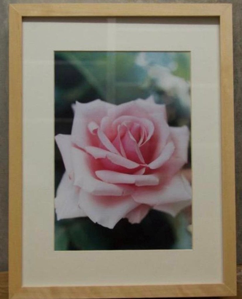 Wissellijsten, Ophalen of Verzenden, Zo goed als nieuw, Minder dan 50 cm, Schilderij